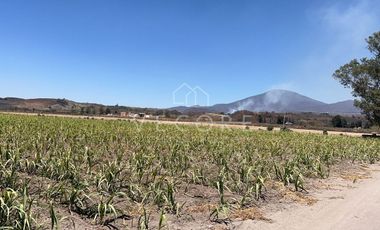 TERRENO EN VENTA, EL REFUGIO, TALA, JALISCO