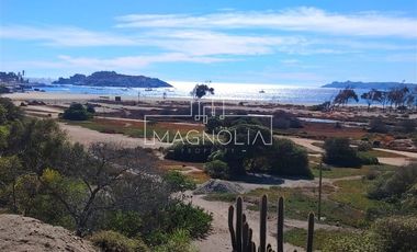 Conjunto 6 Casas en venta en Pichidangui