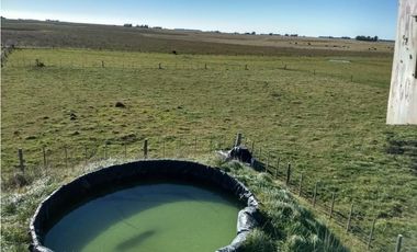 VENTA DE 340 HECTAREAS DE CAMPO MIXTO EN CORONEL VIDAL