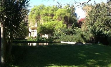 VENTA DE 340 HECTAREAS DE CAMPO MIXTO EN CORONEL VIDAL