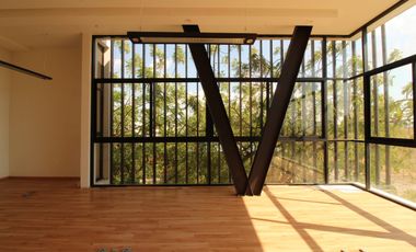 VENTA DE EDIFICIO EJECUTIVO, COLIMA NTE.