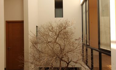 VENTA DE EDIFICIO EJECUTIVO, COLIMA NTE.