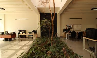 VENTA DE EDIFICIO EJECUTIVO, COLIMA NTE.