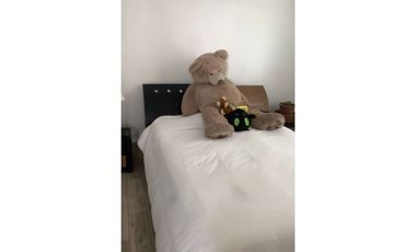 ALQUILER APARTAMENTO AMOBLADO PARQUE LEFEVRE