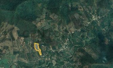 SE VENDE QUINTA PRODUCTIVA