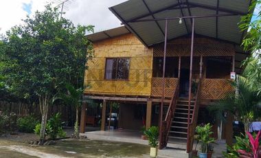 SE VENDE QUINTA PRODUCTIVA