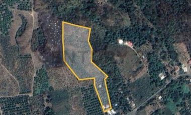 SE VENDE QUINTA PRODUCTIVA