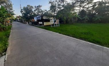 Sertipikat Ready: Kavling Pekalongan, 1 Menit Jalan Pantura