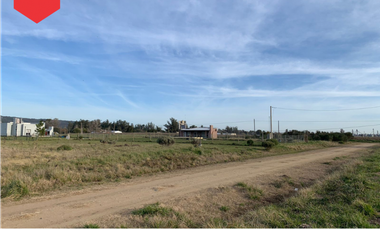 TERRENOS (Calle 14 y 61)