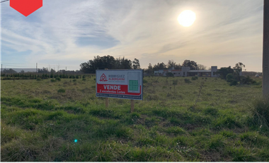 TERRENOS (Calle 14 y 61)