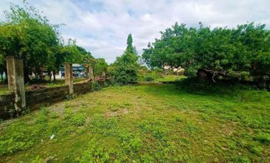 Subdivided Residential Lots for Sale, Bacnotan, La Union