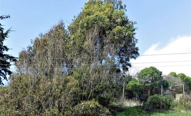 Sitio en Venta en Playa Amarilla - Concón.