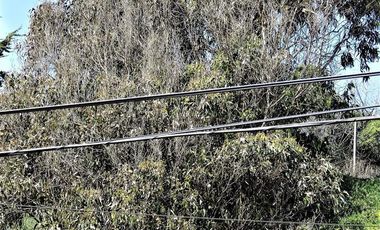 Sitio en Venta en Playa Amarilla - Concón.