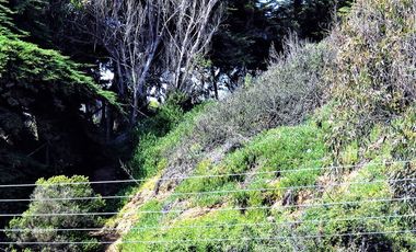 Sitio en Venta en Playa Amarilla - Concón.