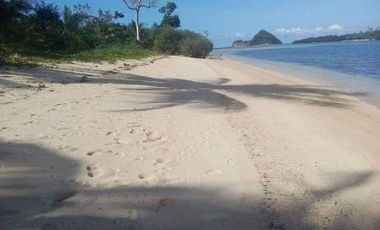 1.8(18,000 Square Meters) White Fine Sandy Beach Lot (Titled), Coron, Palawan, Philippines