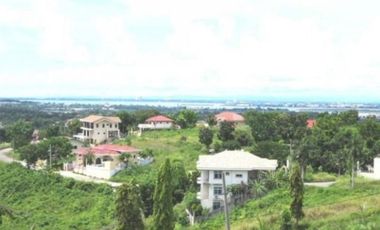For Sale Residential Lots High-End in Royal Cebu Subdivision