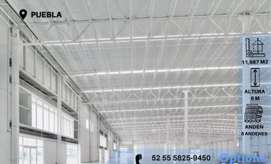 Immediate rent of an industrial warehouse in Puebla
