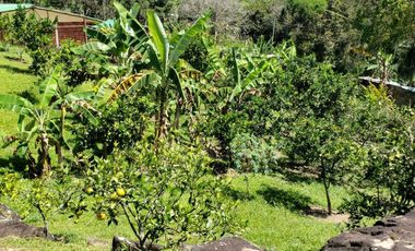 casa campestre en venta en bochalema. Cod V2309