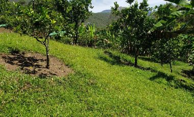 casa campestre en venta en bochalema. Cod V2309