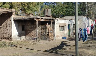 VENTA DE FINCA 25 HAS EN CALLE NUEVA GIL, LA CENTRAL- RIVADAVIA.