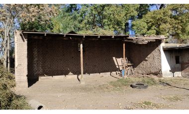 VENTA DE FINCA 25 HAS EN CALLE NUEVA GIL, LA CENTRAL- RIVADAVIA.