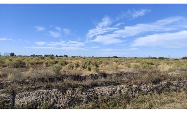 VENTA DE FINCA 25 HAS EN CALLE NUEVA GIL, LA CENTRAL- RIVADAVIA.