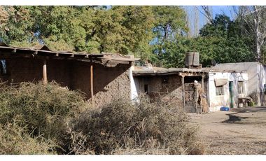 VENTA DE FINCA 25 HAS EN CALLE NUEVA GIL, LA CENTRAL- RIVADAVIA.