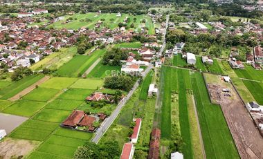 Tanah 1140m2 Di Dekat Candi Prambanan Cocok Untuk Guest House
