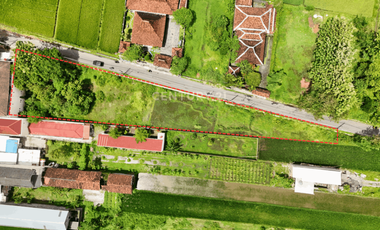 Tanah 1140m2 Di Dekat Candi Prambanan Cocok Untuk Guest House