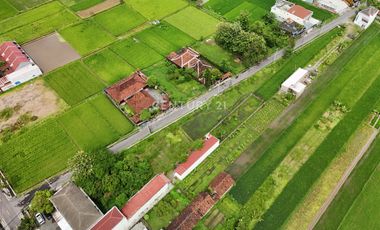 Tanah 1140m2 Di Dekat Candi Prambanan Cocok Untuk Guest House