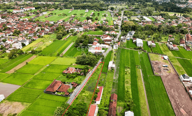 Tanah 1140m2 Di Dekat Candi Prambanan Cocok Untuk Guest House