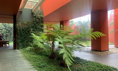 Residencia en Coyoacan