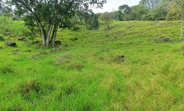 LOTE EN VENTA COPACABANA