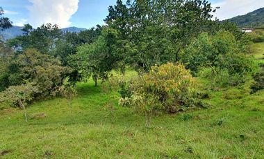 LOTE EN VENTA COPACABANA