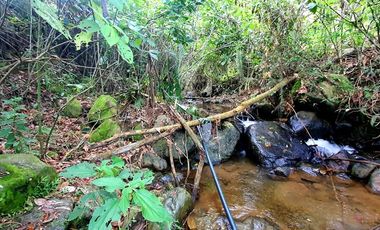 LOTE EN VENTA COPACABANA