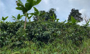 SE VENDE CASA  LOTE CERCA A LA FLORIDA