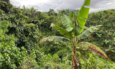 SE VENDE CASA  LOTE CERCA A LA FLORIDA