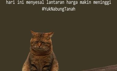 Kavling Dekat Lembah Cisadane