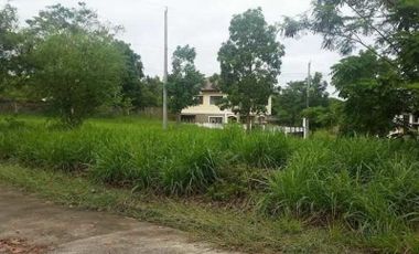 Vacant Residential Lot For Sale in Ayala Heights, Quezon City