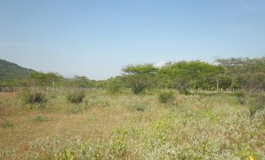lote en venta en tubara. Cod V20455