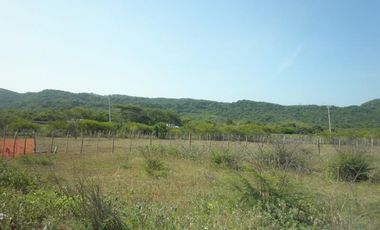 lote en venta en tubara. Cod V20455