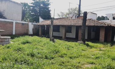 RENTA TERRENO CONSTITUYENTES