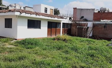 RENTA TERRENO CONSTITUYENTES