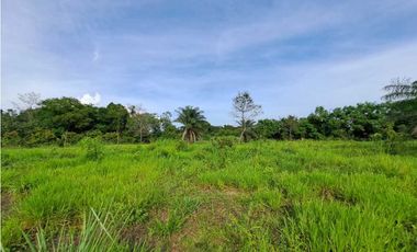 VENTA DE FINCA EN COCHEA, CON TERRENO PLANO