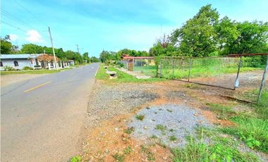 VENTA DE FINCA EN COCHEA, CON TERRENO PLANO