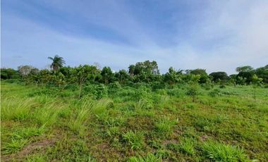 VENTA DE FINCA EN COCHEA, CON TERRENO PLANO