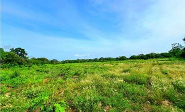 VENTA DE FINCA EN COCHEA, CON TERRENO PLANO