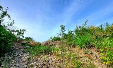 VENTA DE FINCA EN COCHEA, CON TERRENO PLANO