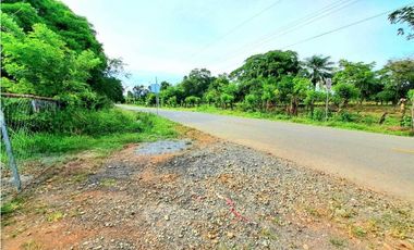 VENTA DE FINCA EN COCHEA, CON TERRENO PLANO