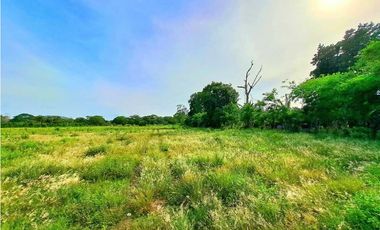 VENTA DE FINCA EN COCHEA, CON TERRENO PLANO